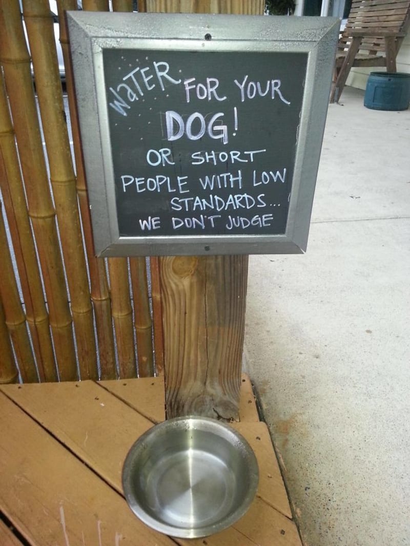 "Voda pro vašeho psa! Nebo pro malé lidi, co mají nízkou úroveň. Nesoudíme!"