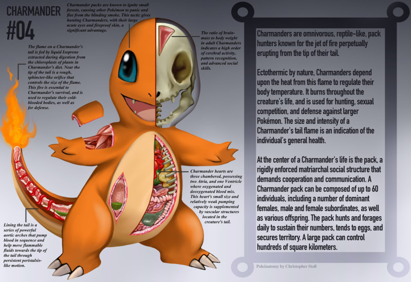 Pokémoní anatomie 1