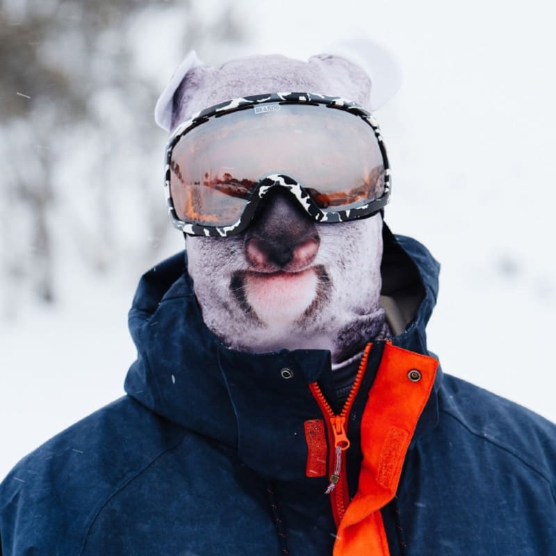 Zvířecí masky na lyžování 16