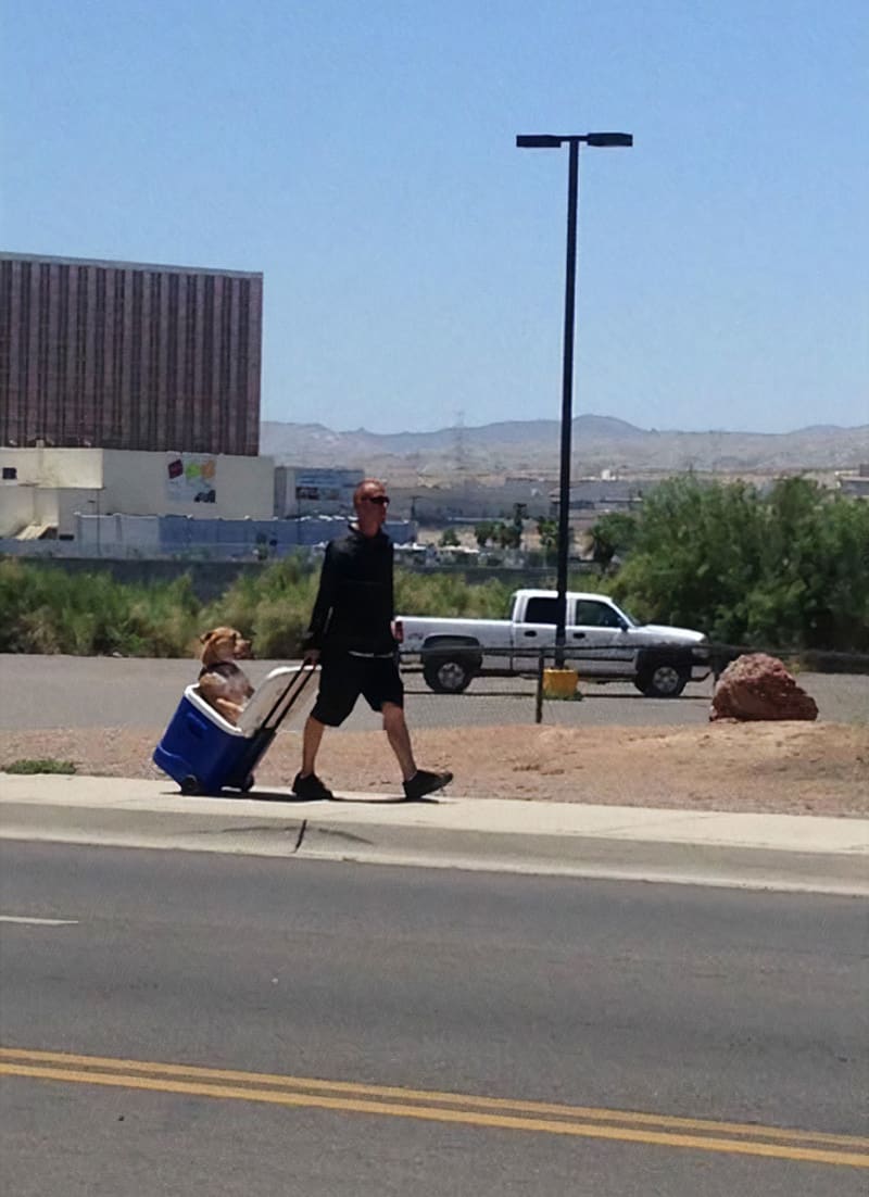 Procházka se psem uprostřed léta v Arizoně