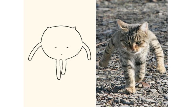 Perfektně výstižné kresby koček 8