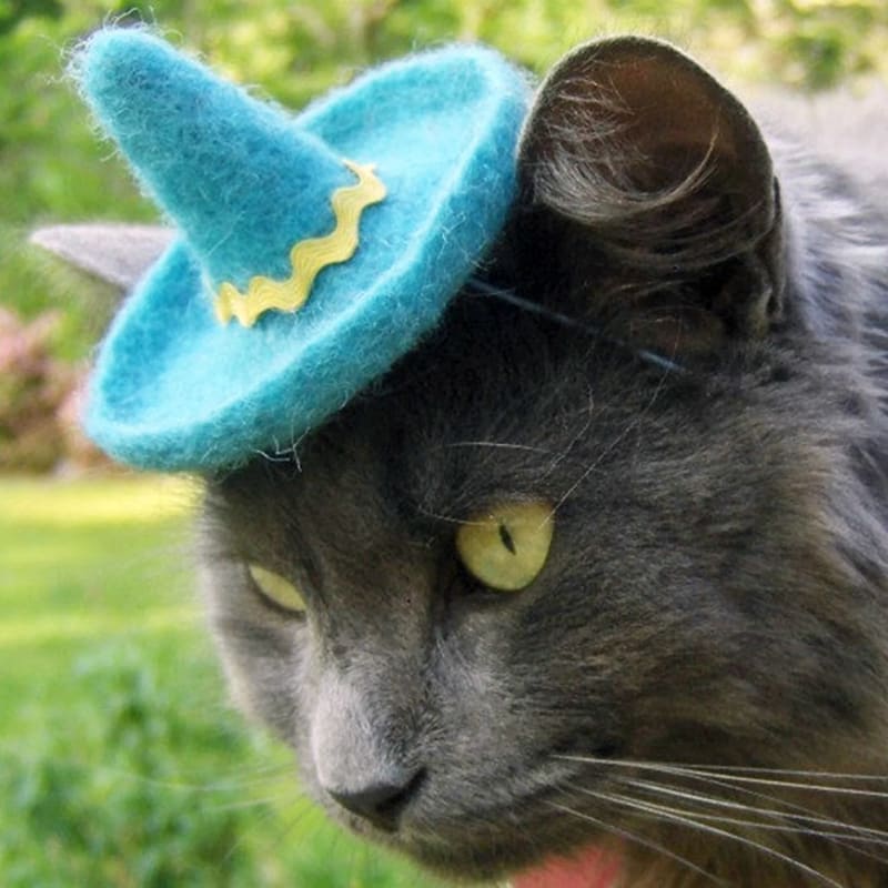 Kočka v klobouku 9