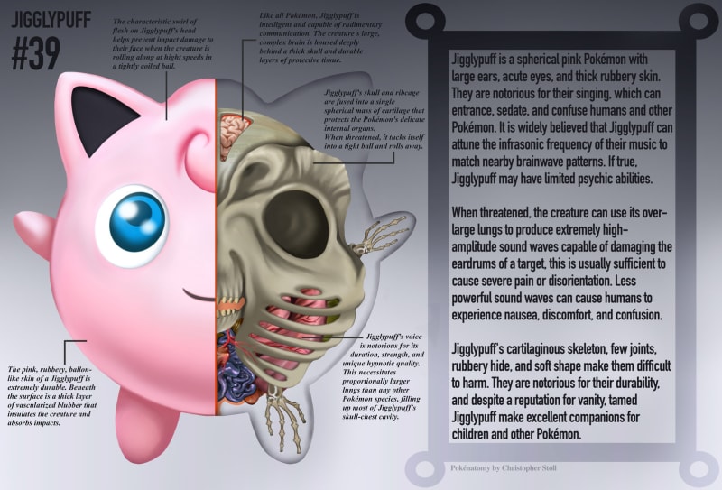 Pokémoní anatomie 2