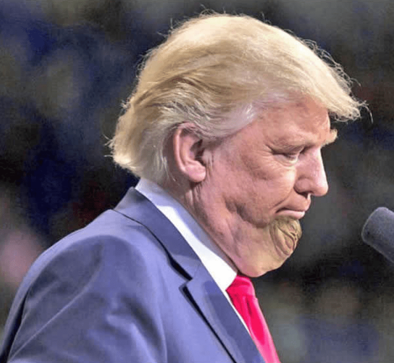 Trumpova brada - epická photoshopová bitva! 1