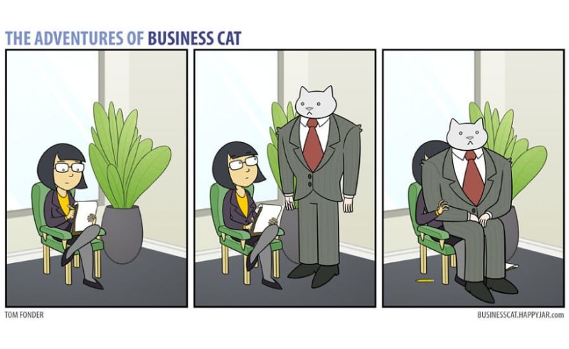 Kočičí boss! 9