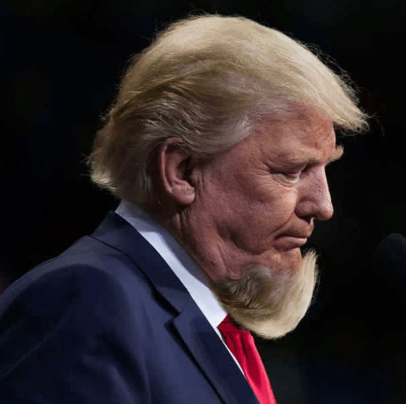 Trumpova brada - epická photoshopová bitva! 11