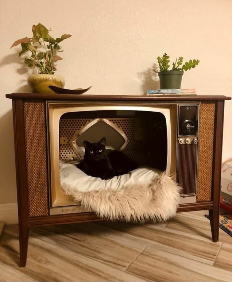 Televize Zenith z šedesátých let teď slouží jako luxusní pelech pro kočku