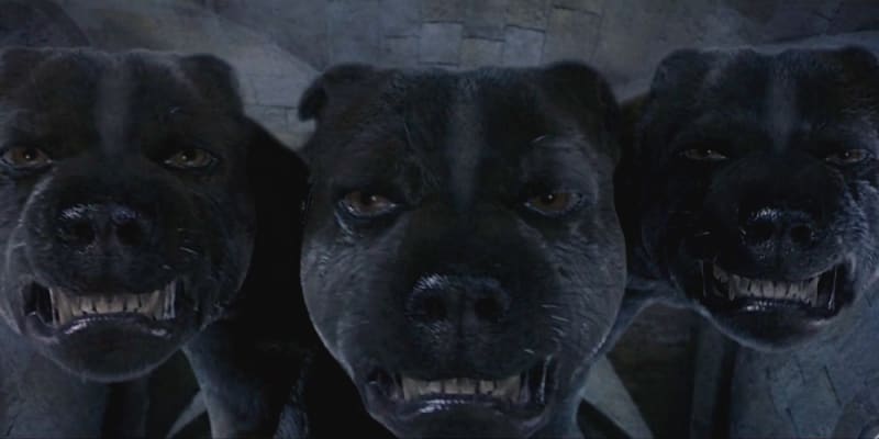 "Cerberus" - Na trojhlavého psa z prvního filmu Harry Potter a Kámen mudrců si jistě vzpomínáte, Hagrid ho tehdy pořídil od nějakého Řeka. Což je příhodné, protože podle řecké mytologie právě takový tříhlavý pes střeží bránu do Podsvětí.