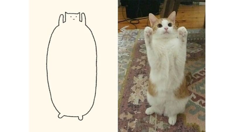 Perfektně výstižné kresby koček 16