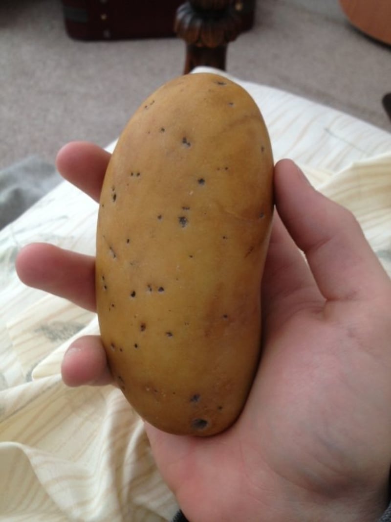 Kámen, co vypadá jako brambora