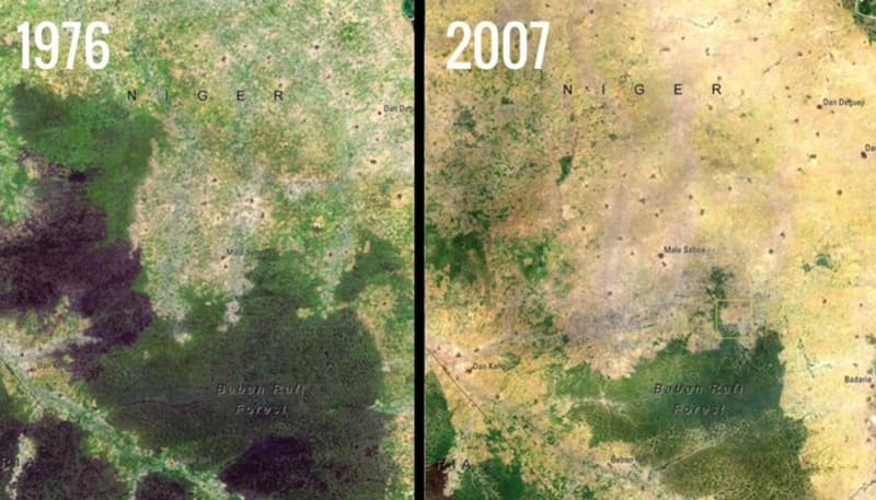 Niger - brutální mizení cenného deštného pralesa v Nigeru. Na vinně je rostoucí populace, těžba dřeva i nerostných surovin a necitlivé zemědělství
