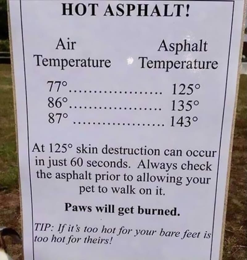 Horký asfalt! - varování, že se zvířatům ve velkých vedrech můžou spálit tlapky