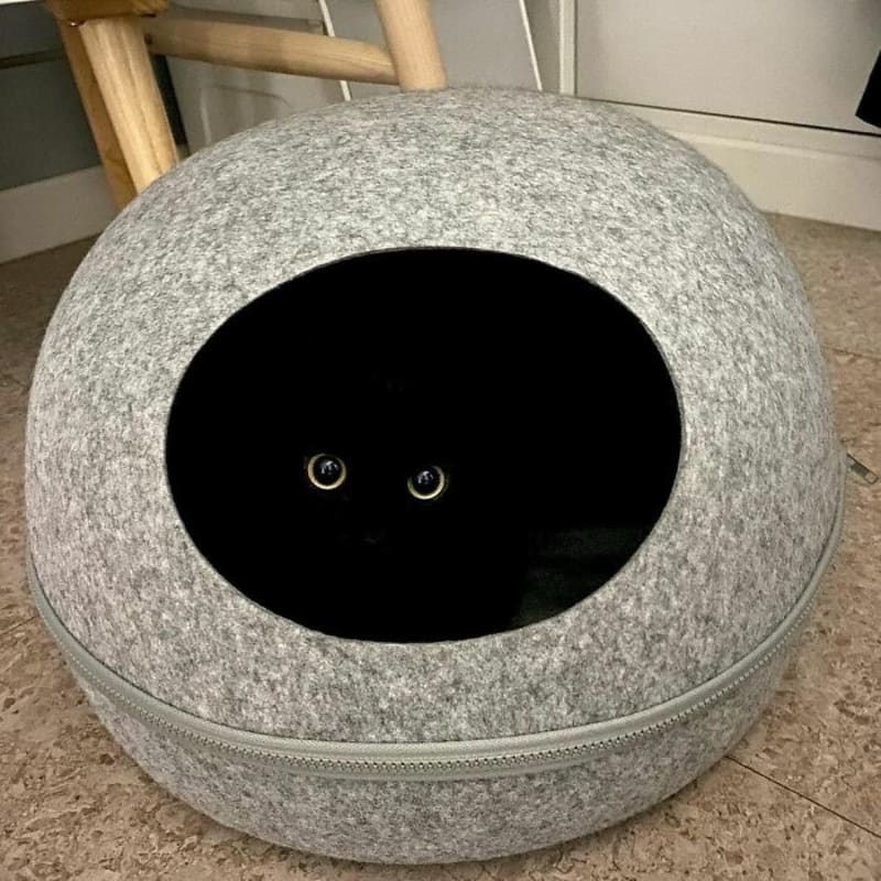Vtipné kousky černočerné kočky MeonJi 1