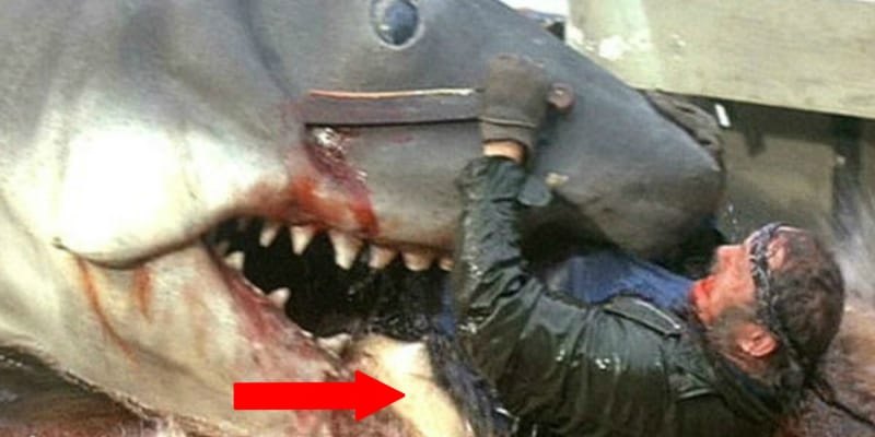 Čelisti (1975) – Ikonický moment z kultovního filmu Stevena Spielberga dokáže vyděsit i dnes, když se ale dobře zadíváte, všimnete si, že herec má pod zády polštář, aby ho falešné zuby falešného žraloka omylem doopravdy nezranily
