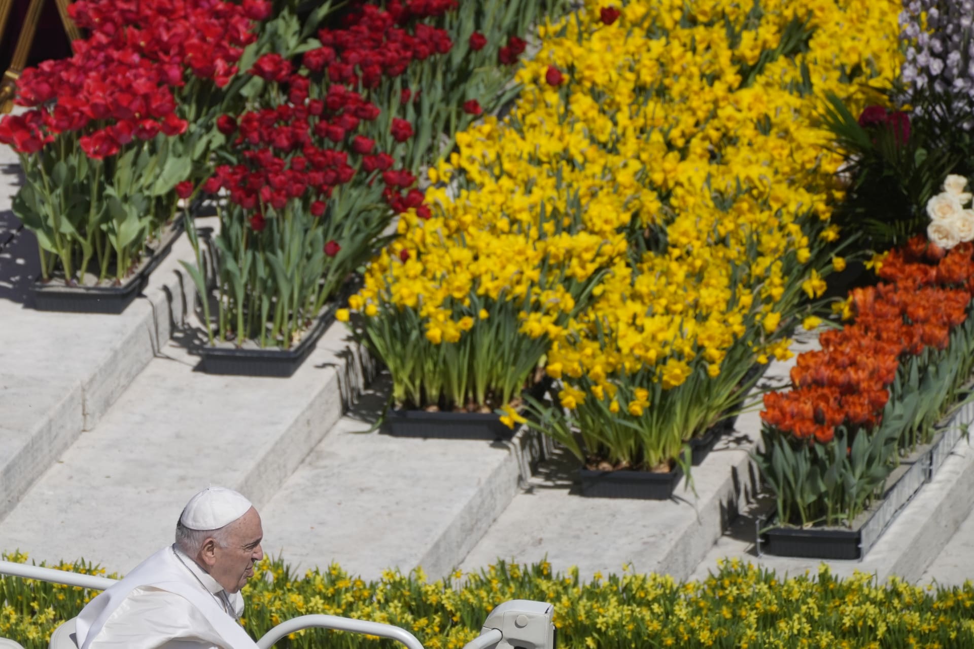 Svatopetrské náměstí mělo letos bohatou výzdobu ze zhruba 35 tisíc květin, z nichž 15 tisíc tulipánů, které Vatikánu darovalo Nizozemsko.