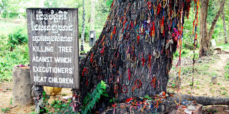 Strom na Poli smrti, o který Rudí Khmerové zabíjeli miminka