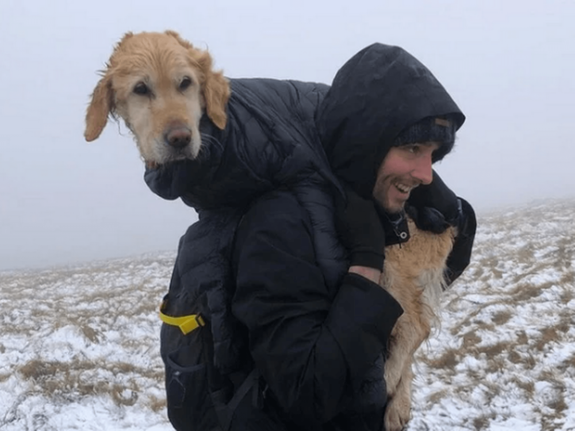 Pár zachránil mrznoucího psa 1