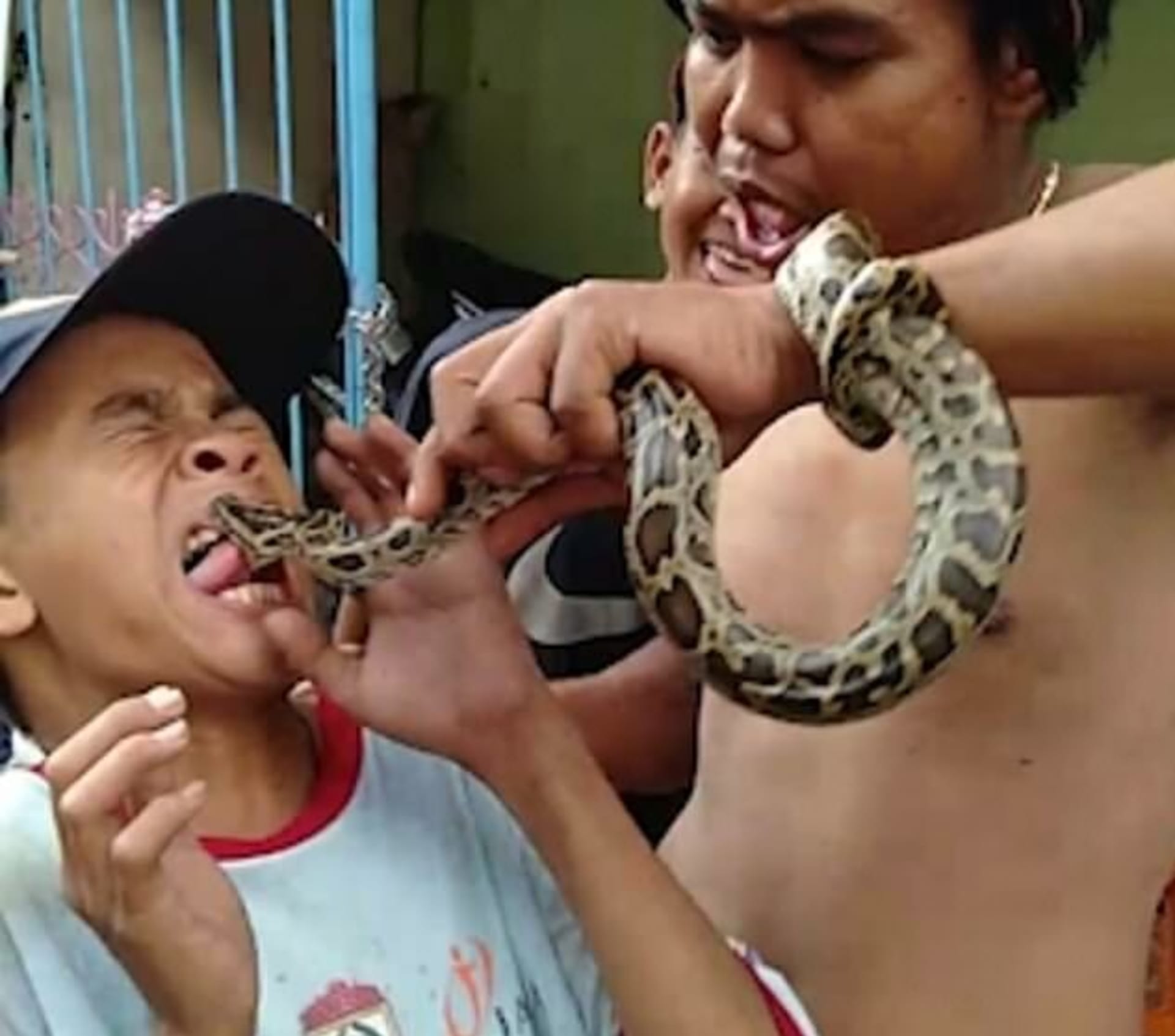 Drzý kluk provokoval hada, který ho kousnul do jazyka