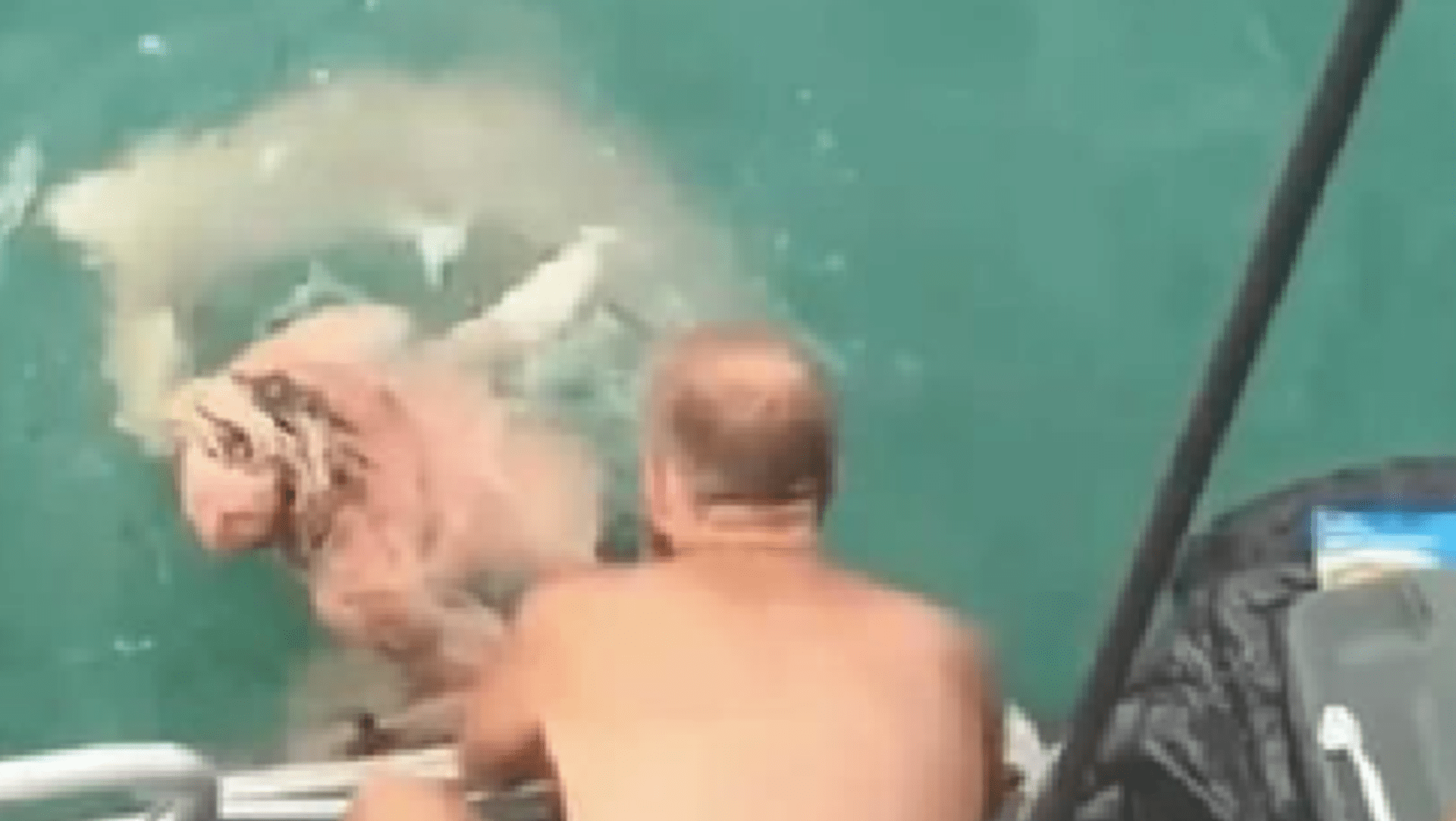 Žralok zaútočil na muže, který za ním skočil do moře