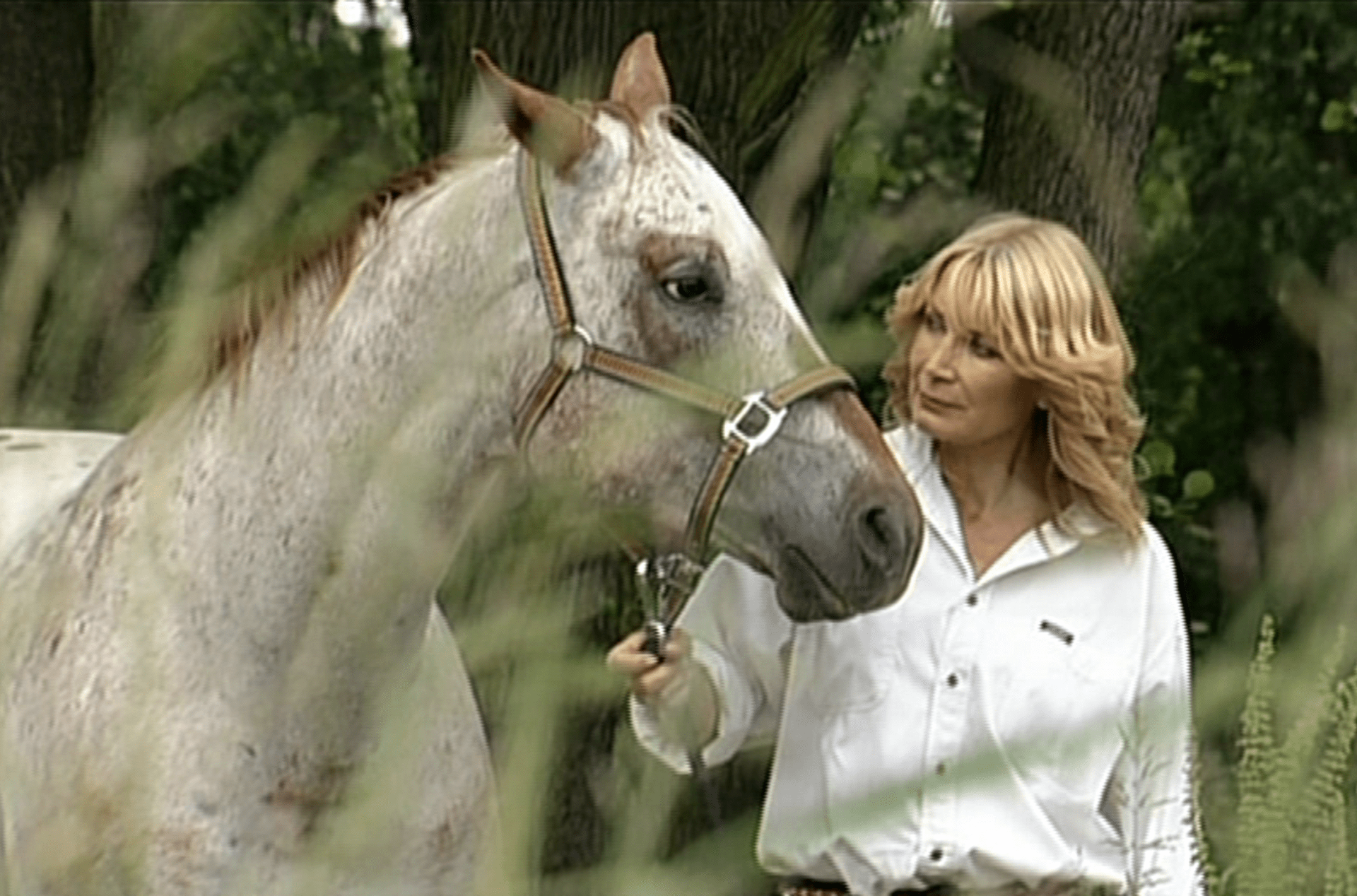 Video VIP zprávy: Velkou vášní Jitky Obzinové jsou koně