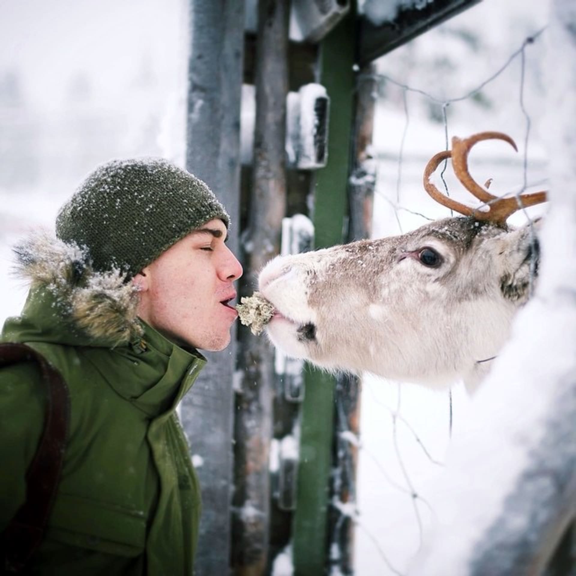 Finský fotograf a lesní zvířata... Dojemná fotogalerie