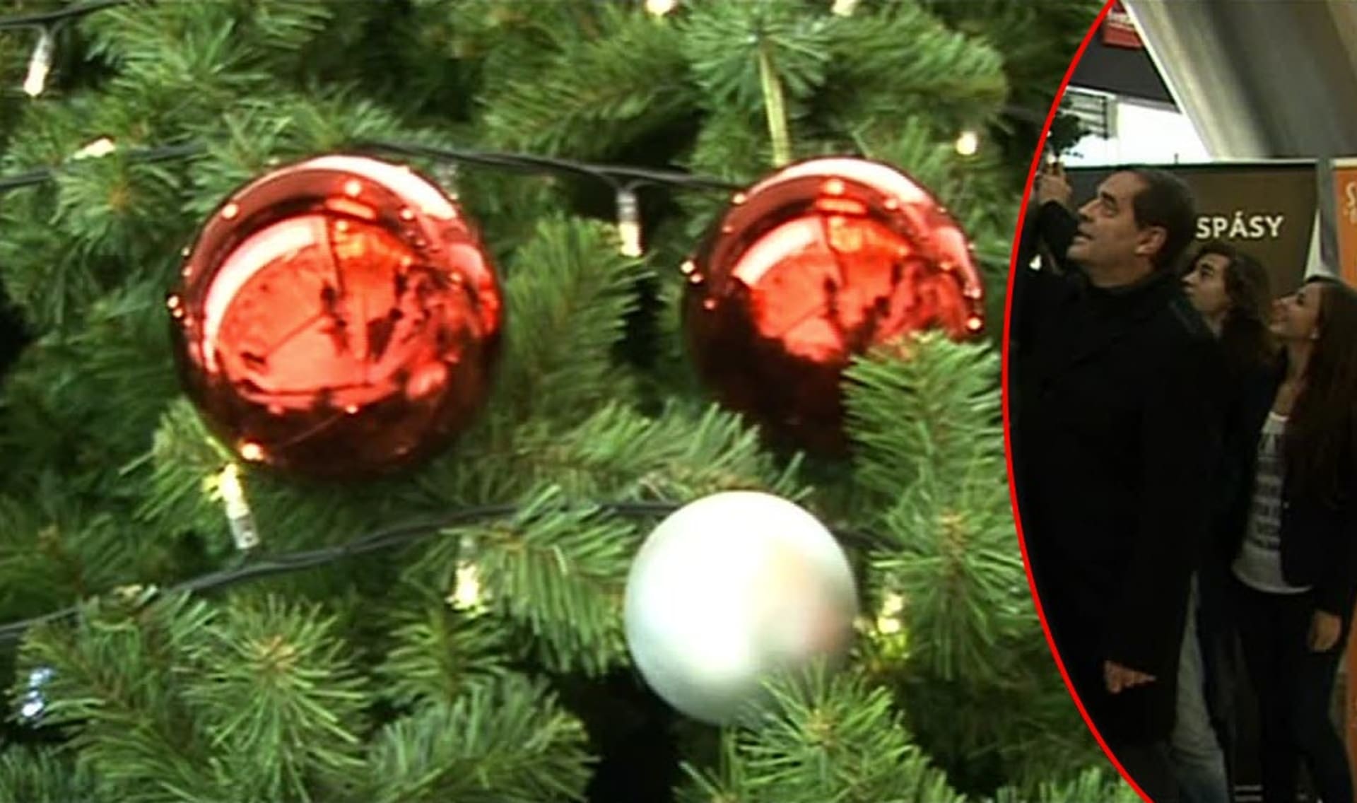 video VIP zprávy: První vánoční strom už svítí