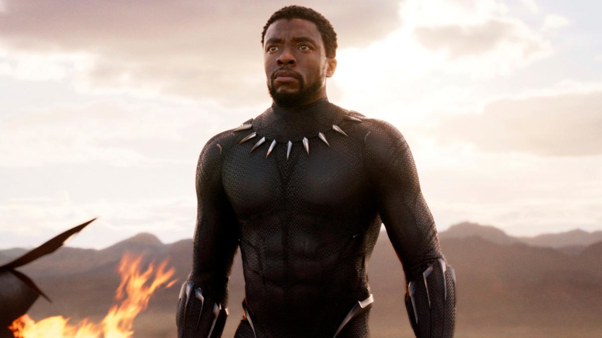 Hvězdy Avengers se loučí s Black Pantherem 1