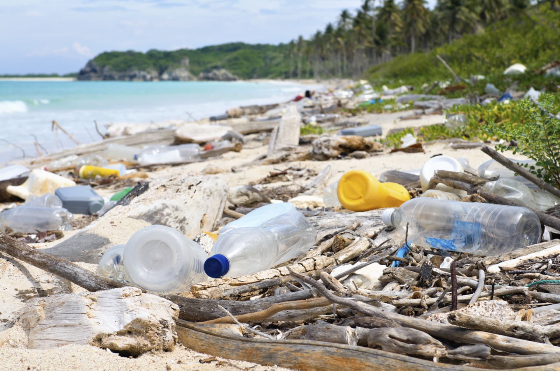 Plasty jsou pro naši planetu obrovský problém