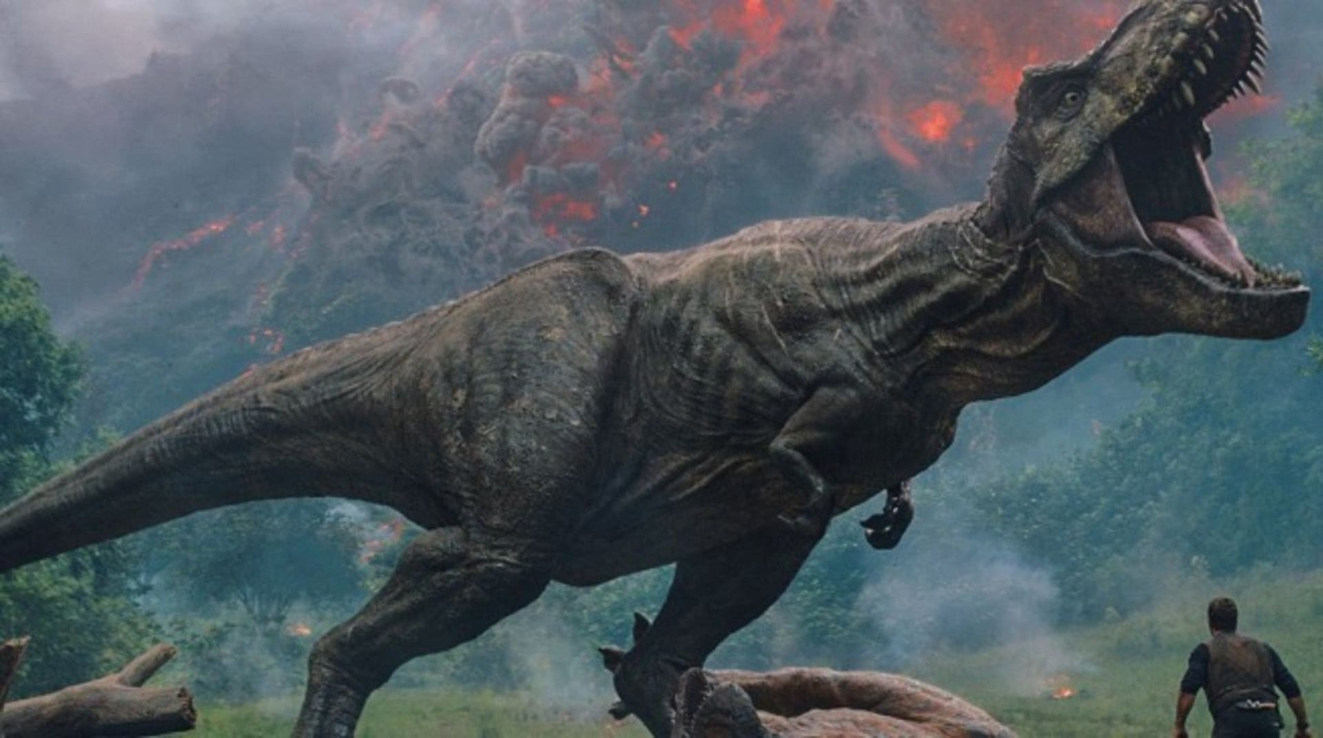 Vědci zjistili, proč měli dinosauři malé ruce 1