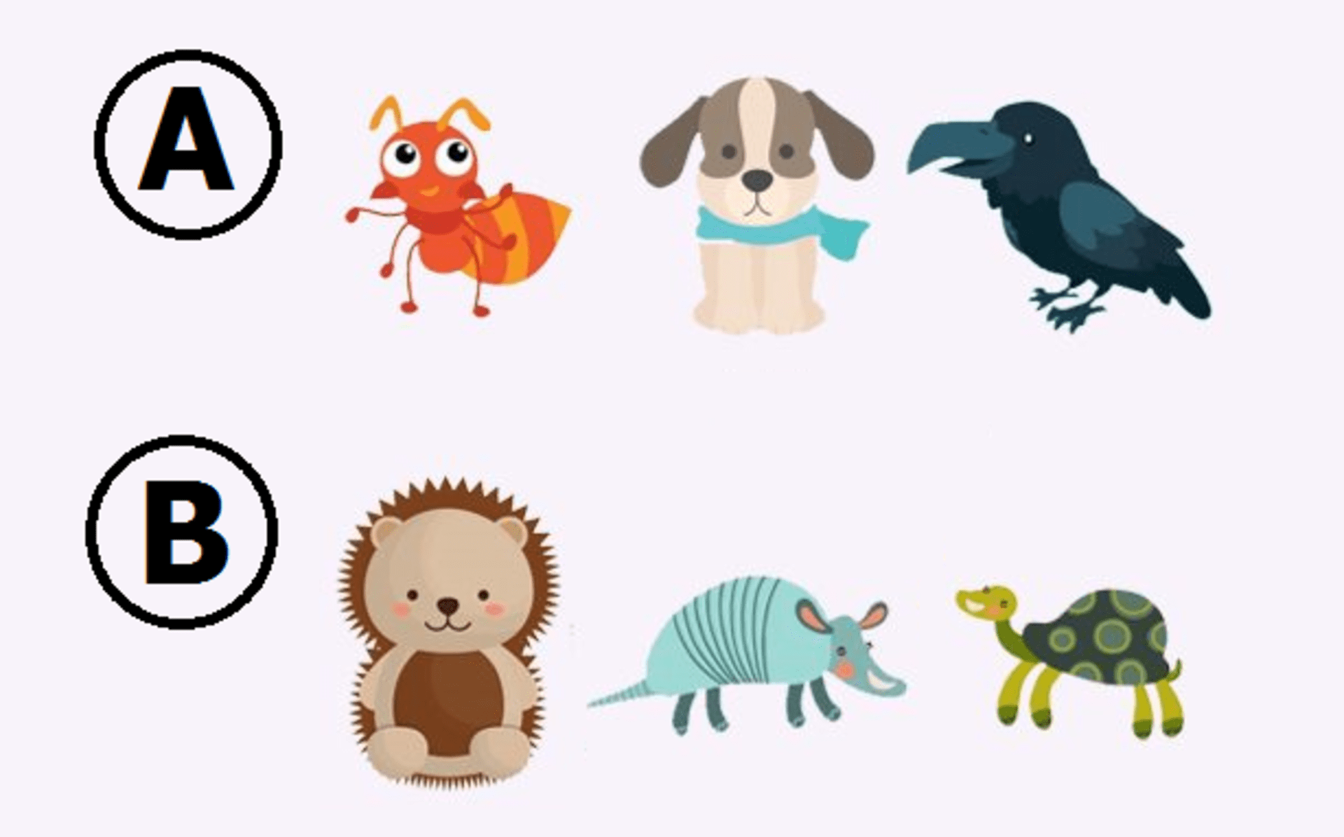 Která skupina zvířat je vám bližší?