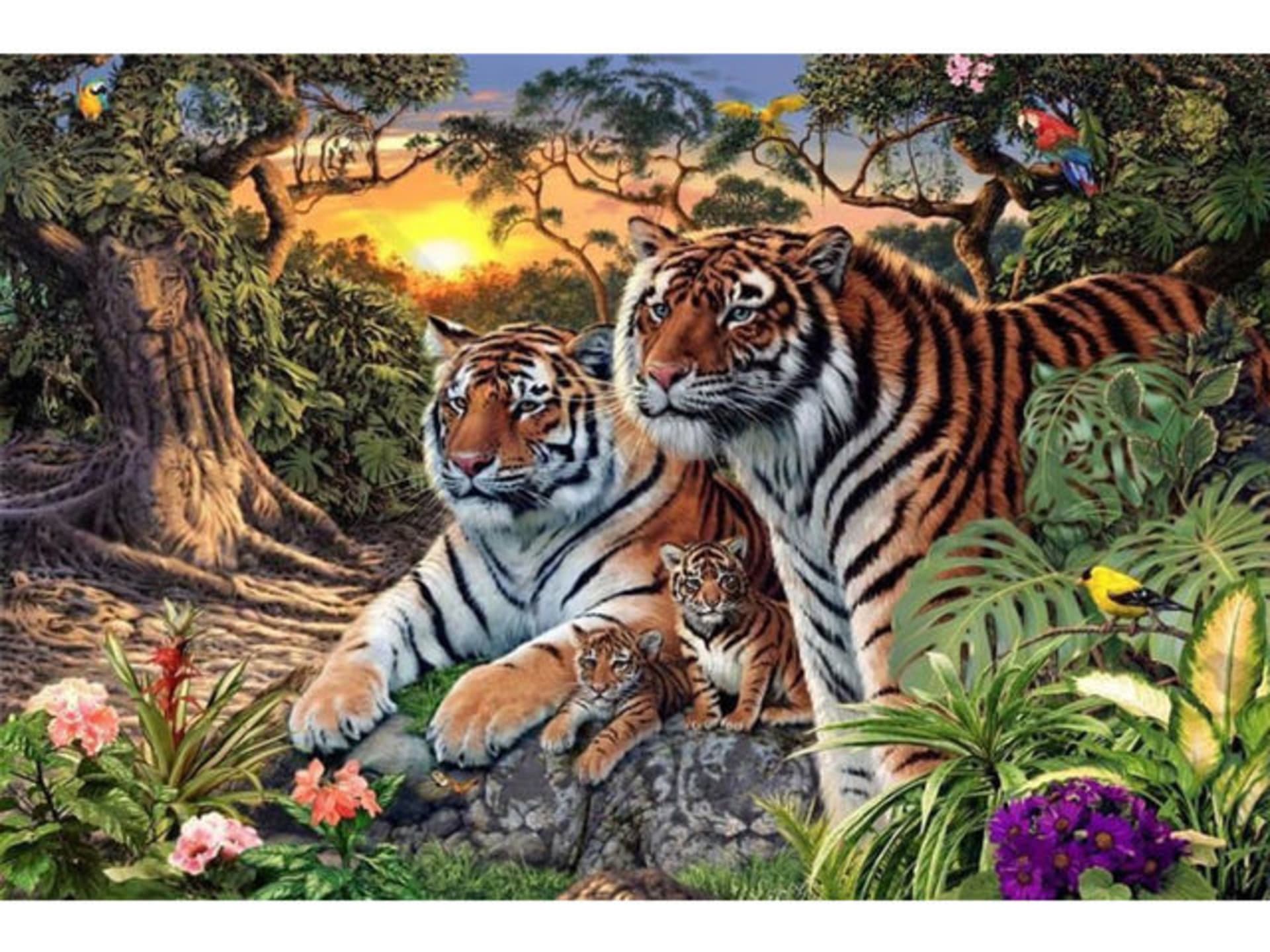 Kolik vidíte tygrů?