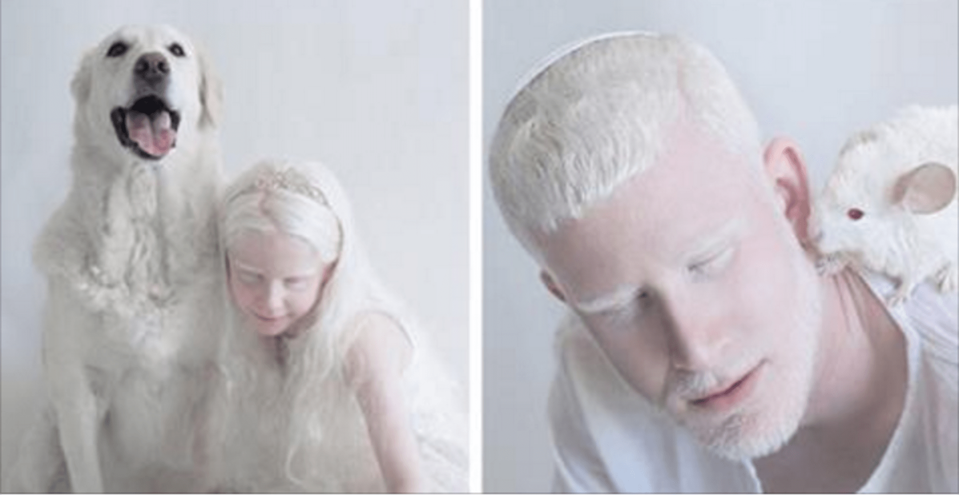 Fotografka zachytila krásu albínů.