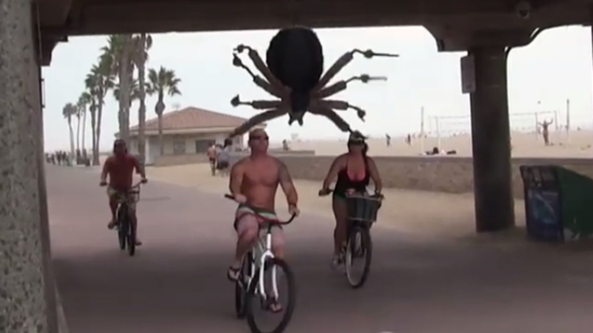 Děsivé! Na ulici se objevil obří pavouk!