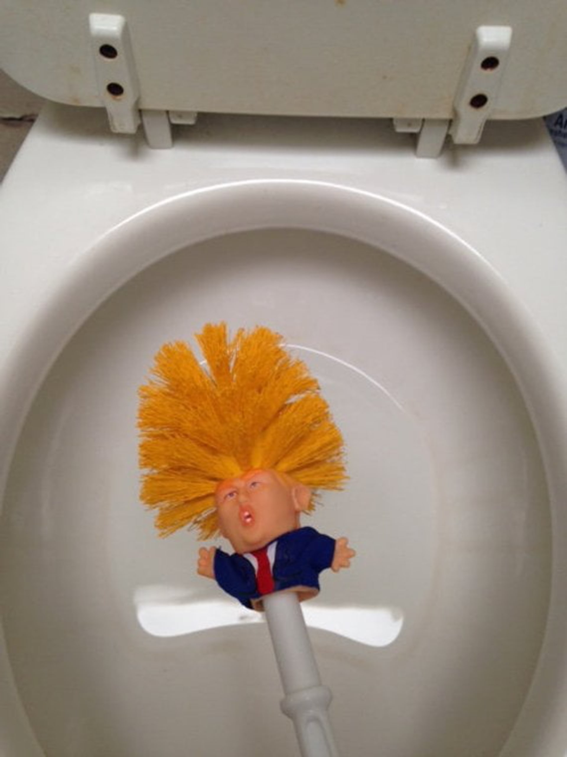 Donald Trump do každého záchodu 1
