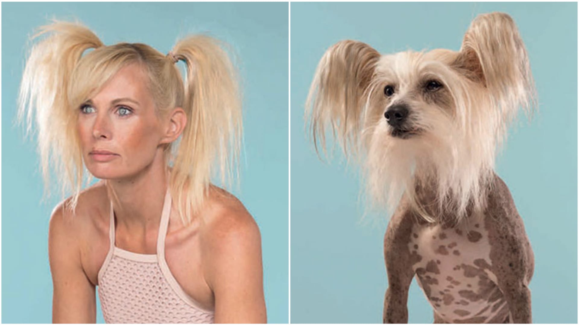 Parádní portréty lidí a jejich psů 2