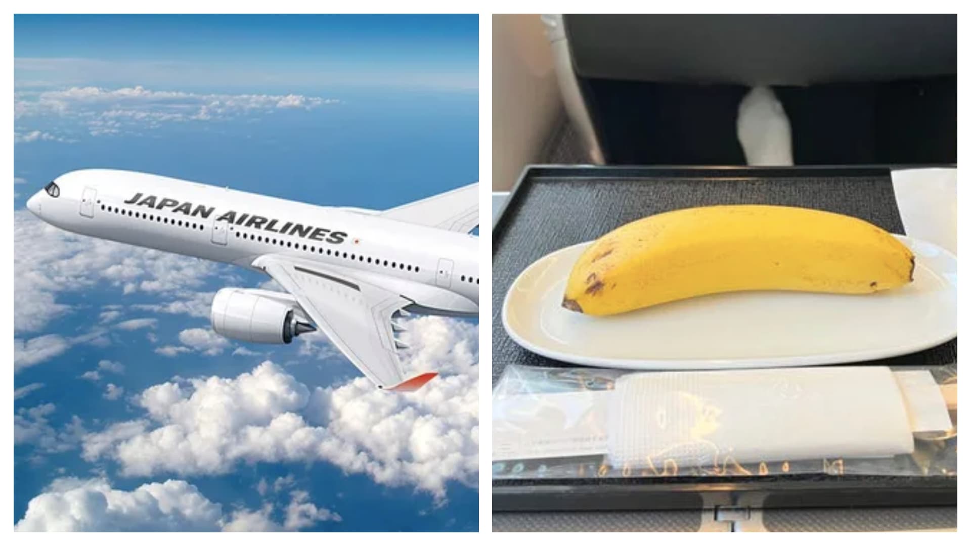 Letecká společnost servírovala v rámci veganského menu jen banán.