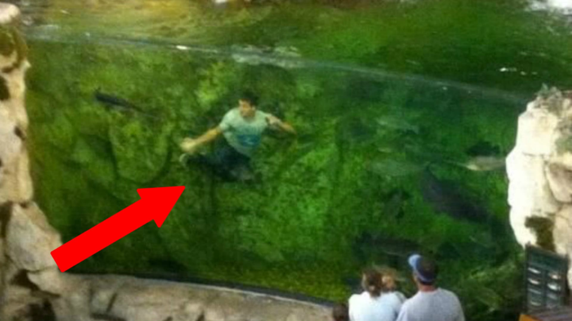 Proč mladík skákal do obřího akvária?