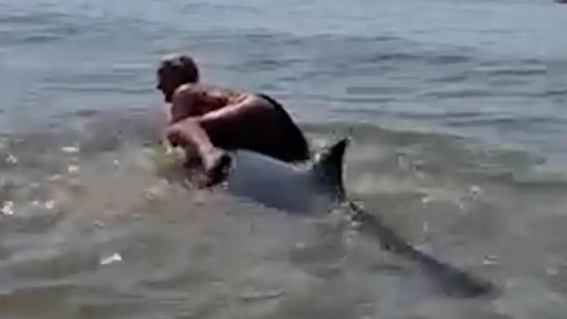 Ženě hrozí postih za to, že zkusila vylézt na delfína 1