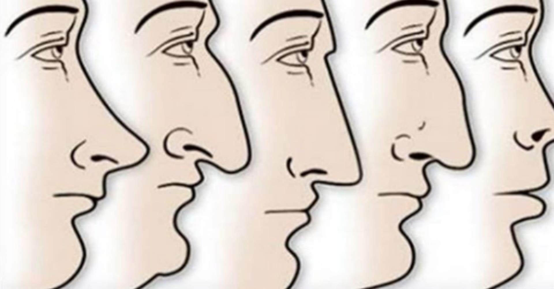 Podle tvaru nosů poznáte, jaký jste.