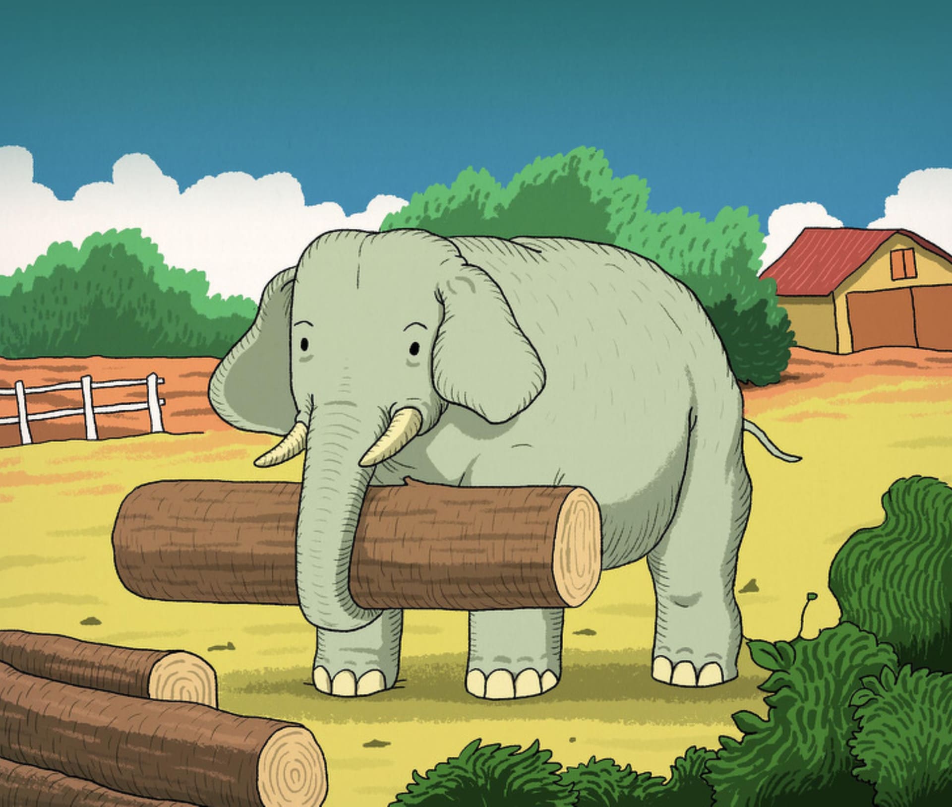 Najdete na obrázku se slonem ještě jedno zvíře?