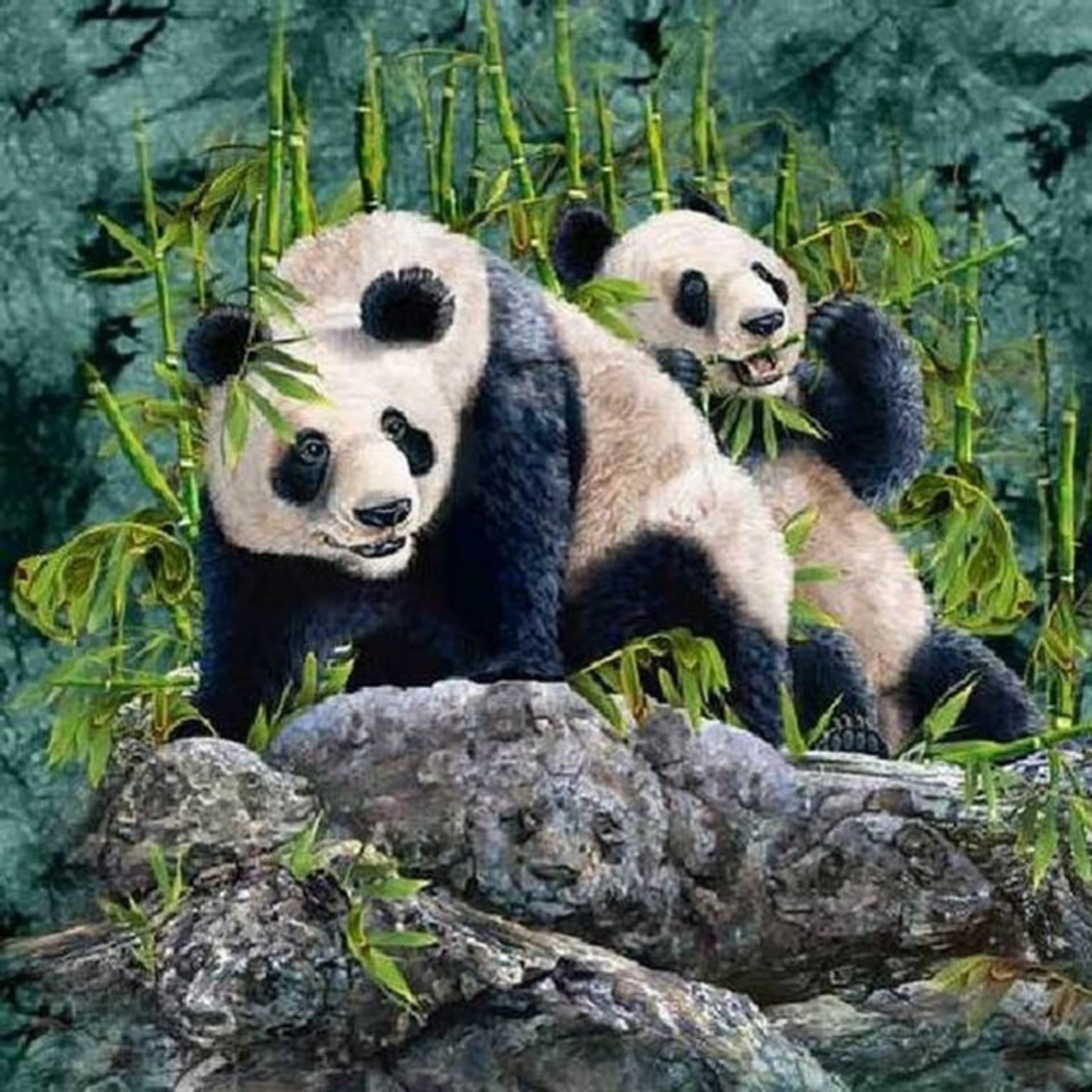Optická hádanka - schované pandy 1