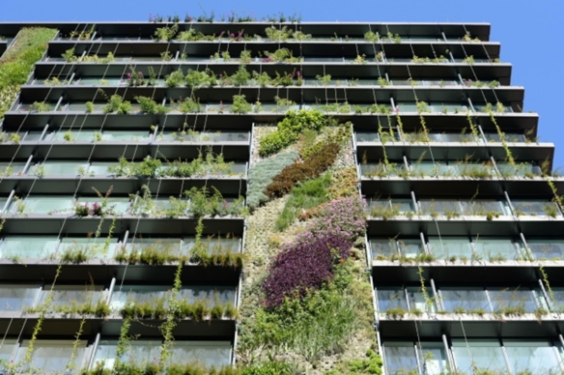 Vertikální zahrada rozkvetla na budově Central Park v Sydney