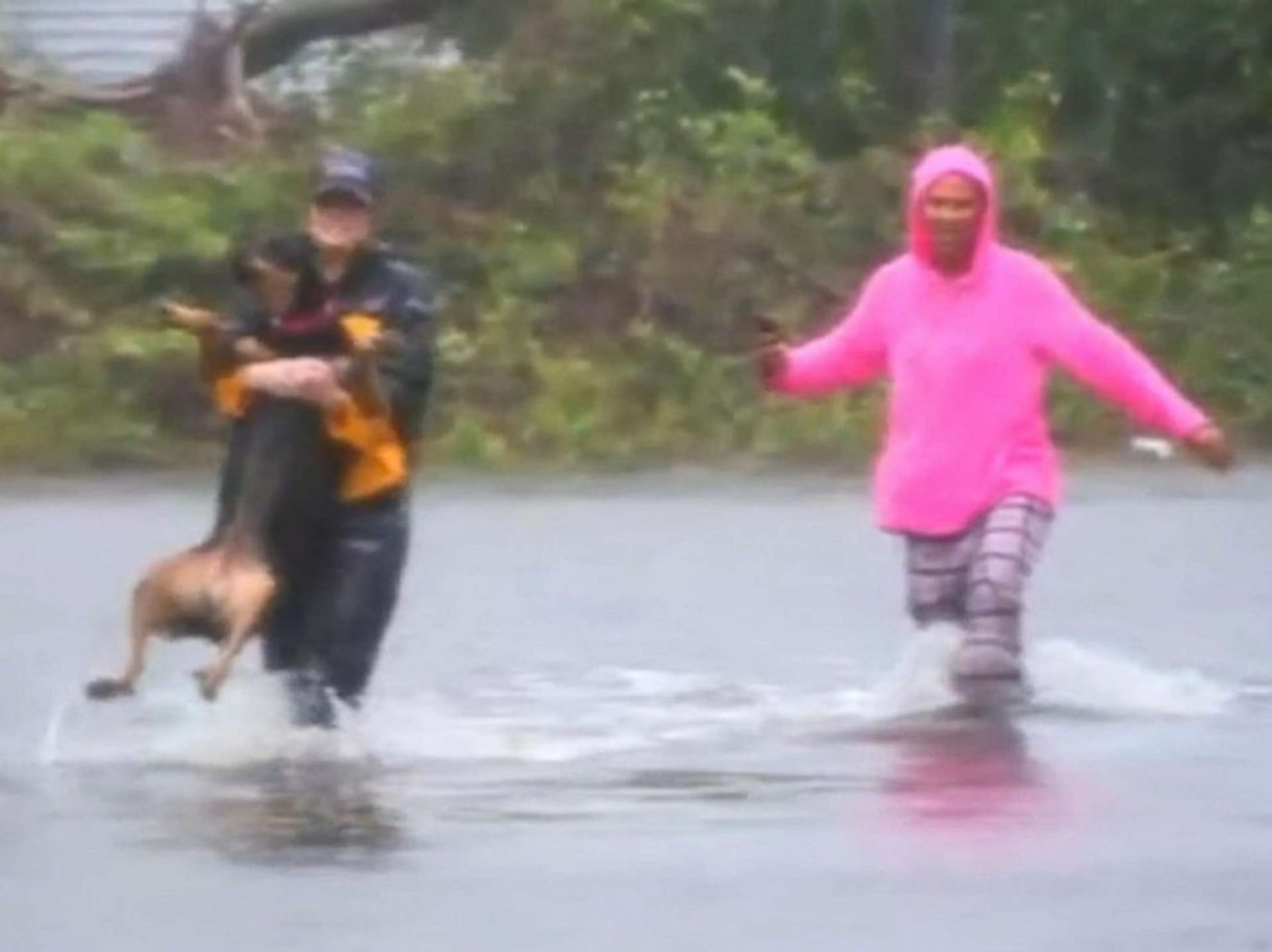 Reportérka zachránila psa před povodní 2