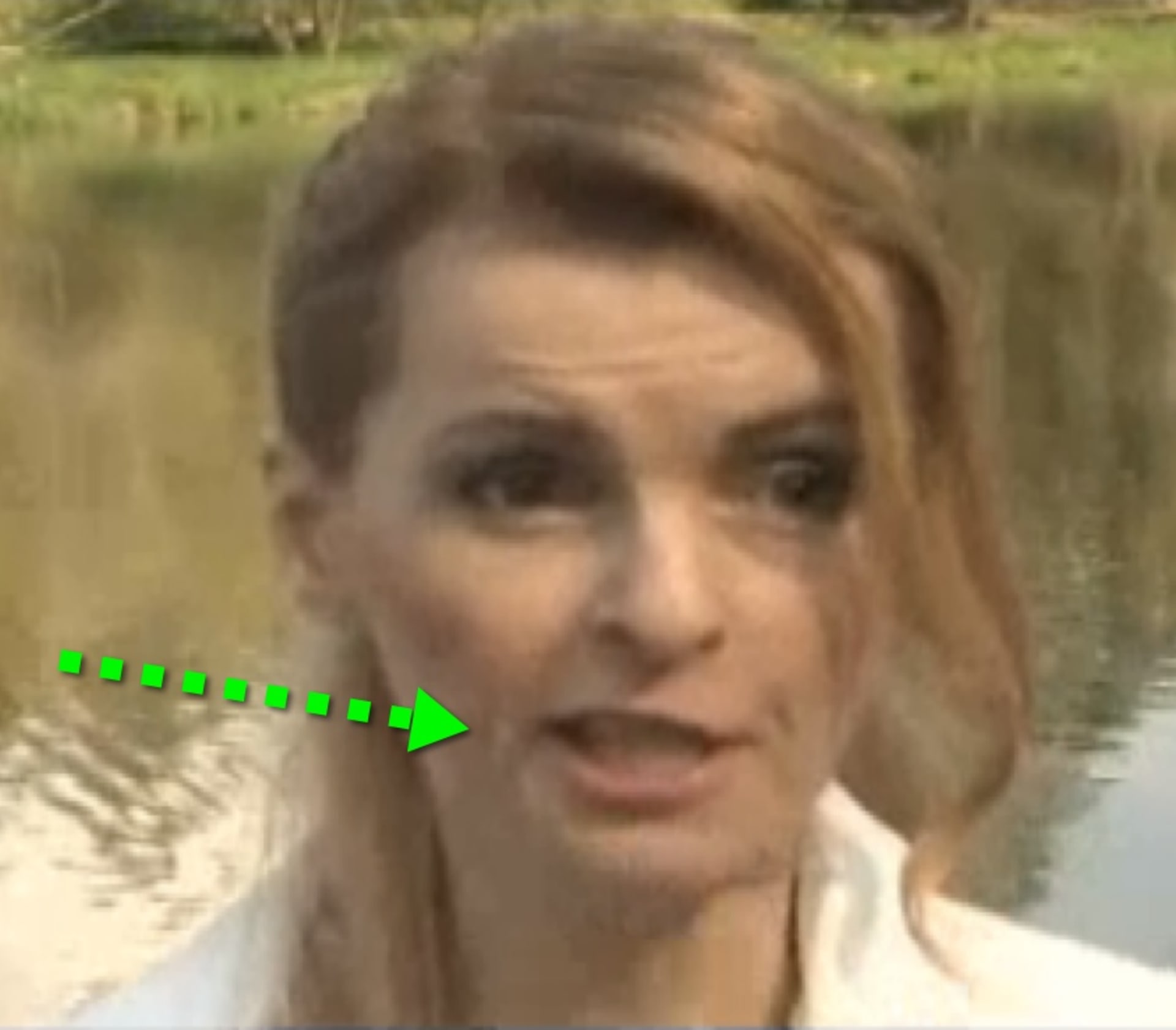 video VIP zprávy: Iveta Bartošová vypadá, jako by prodělala mozkovou příhodu. S jednou částí tváře téměř nepohybuje