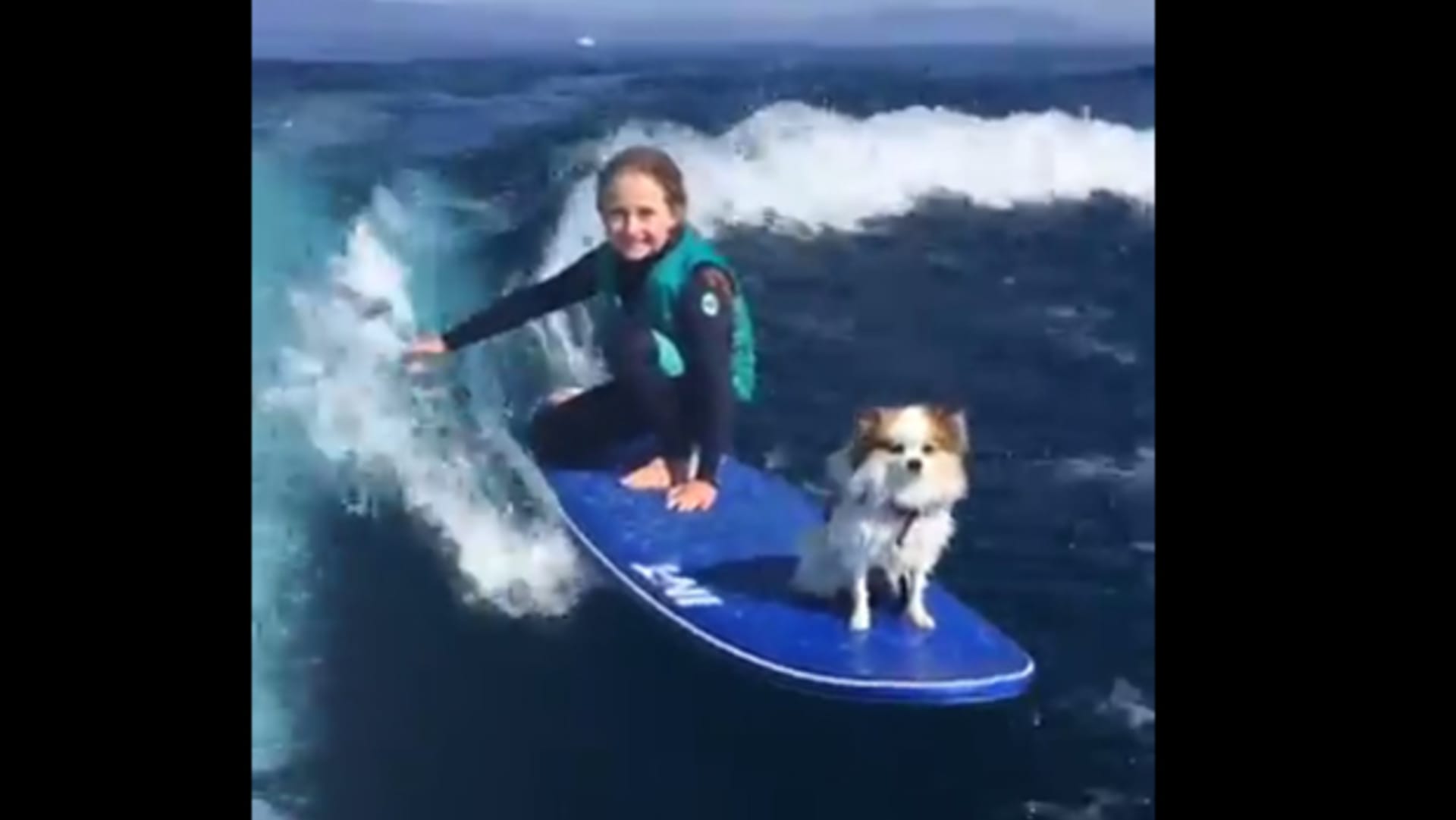Dívka surfuje vždy se svým psem