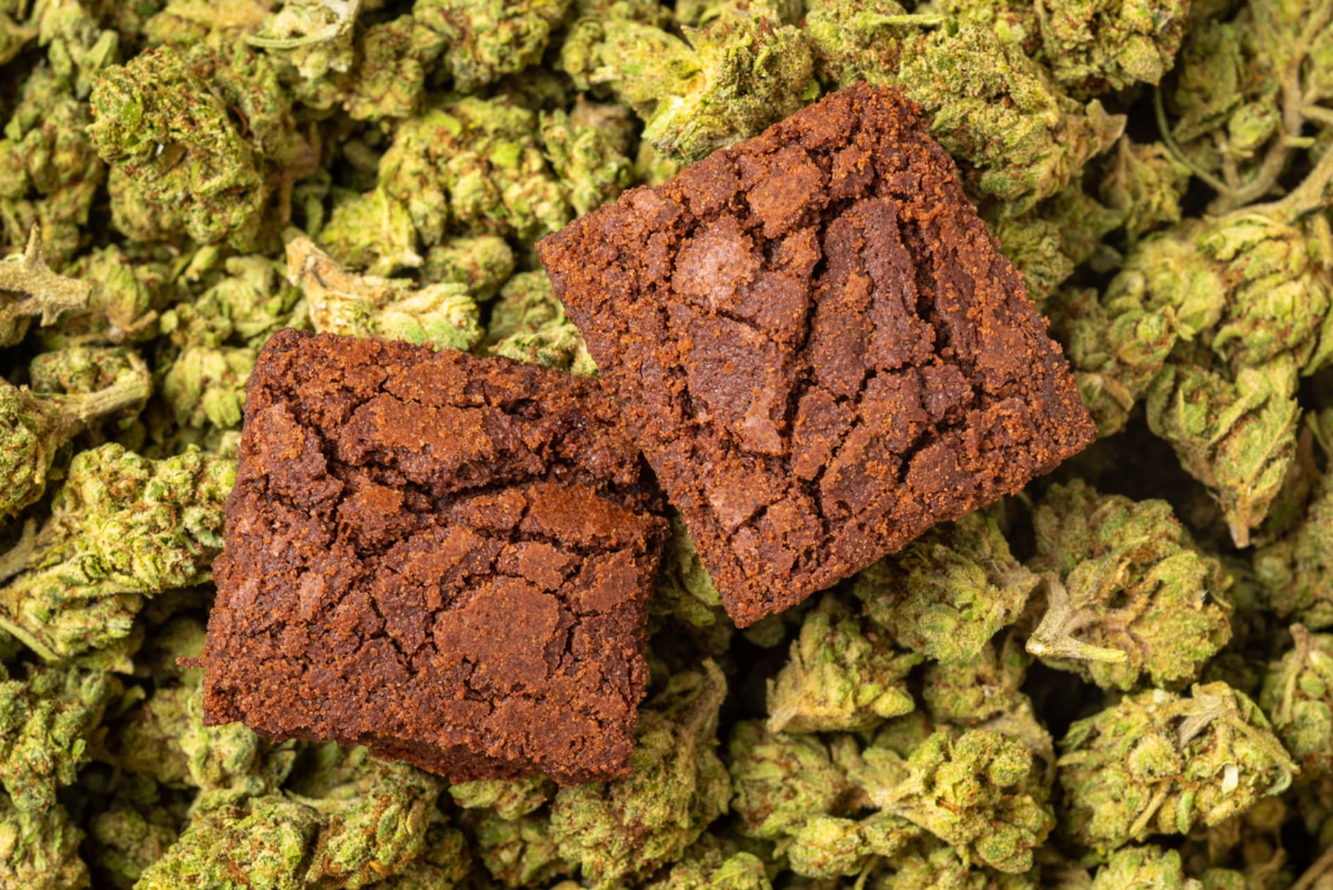 Marihuanové brownies jsou mezi lidmi populární