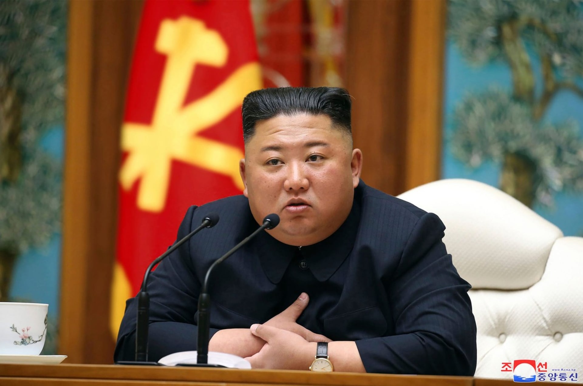 Kim Čong-un chce bojovat s globálním oteplováním 1