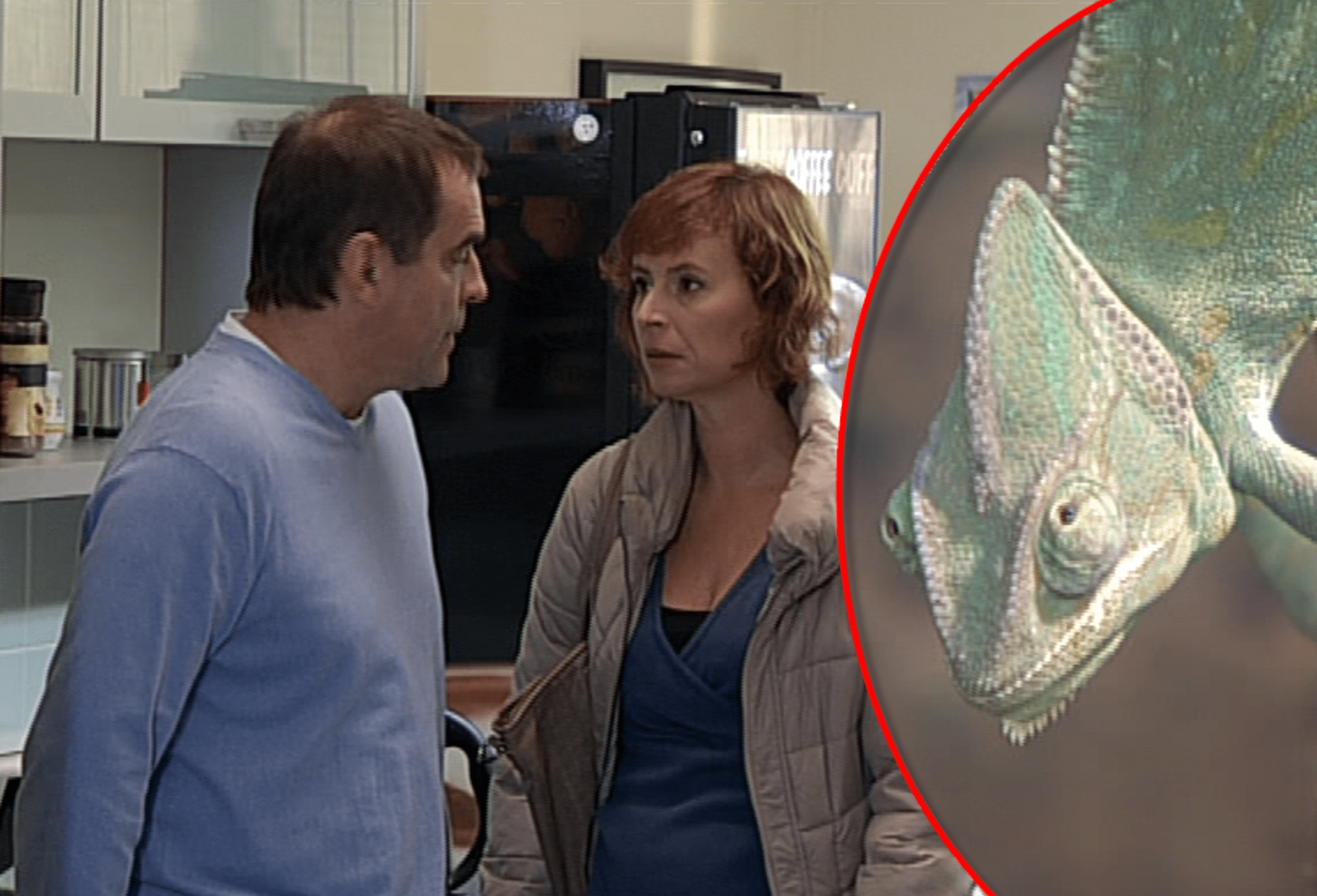 Jednou ze živých rekvizit seriálu Cesty domů je i tento chameleon