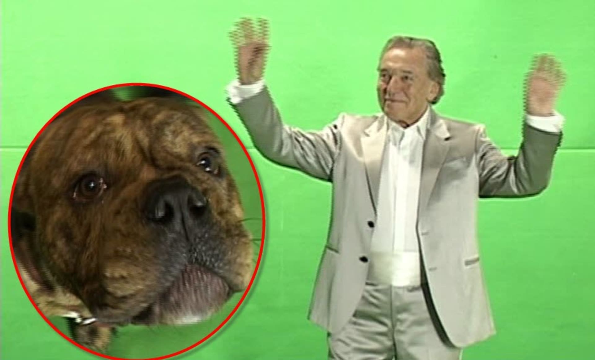 Video VIP zprávy: Karel Gott na to nevypadá, ale je ovládán tínto psem. Tedy... mediálně určitě!