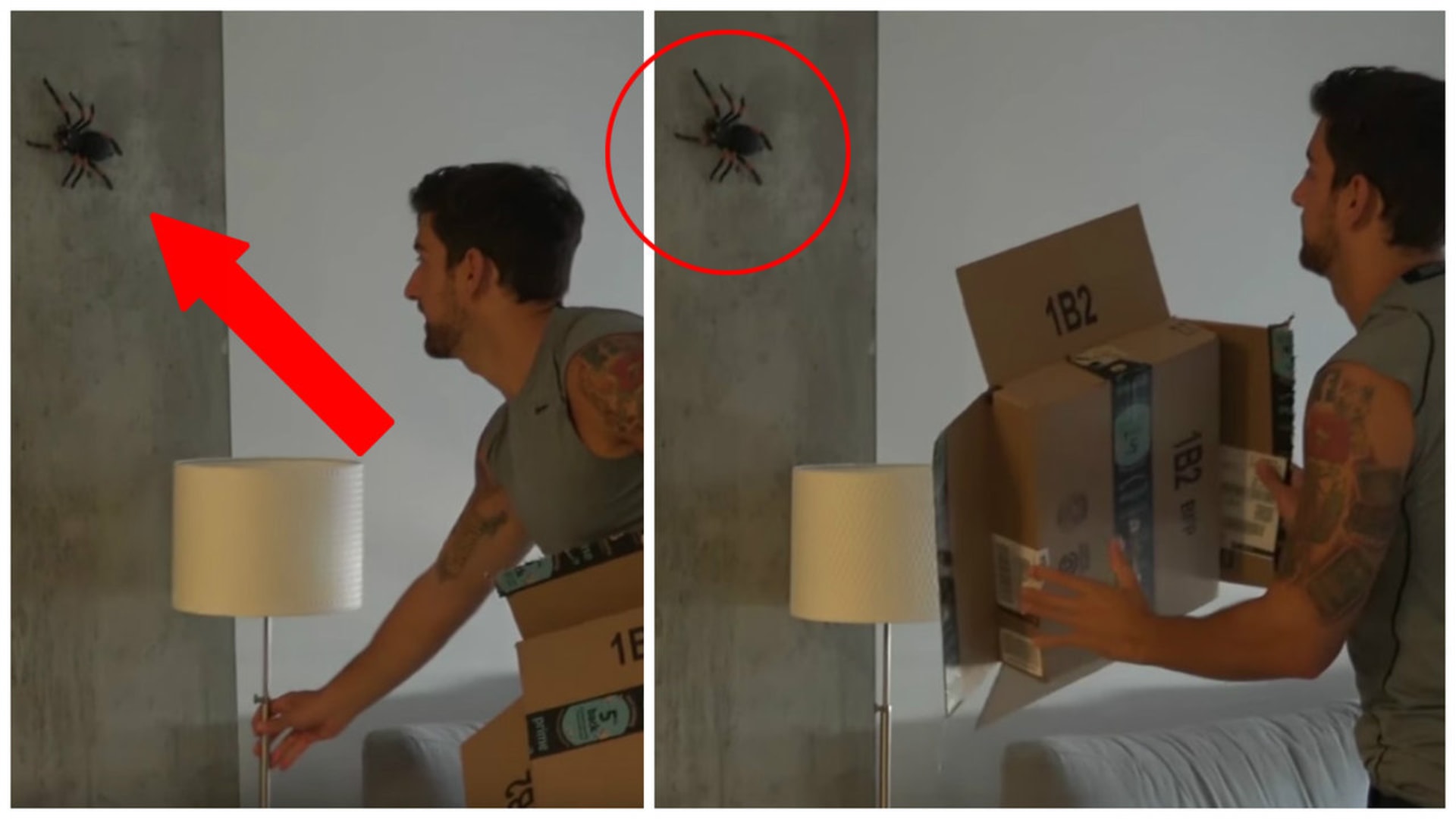 Děsivé video s pavoukem.